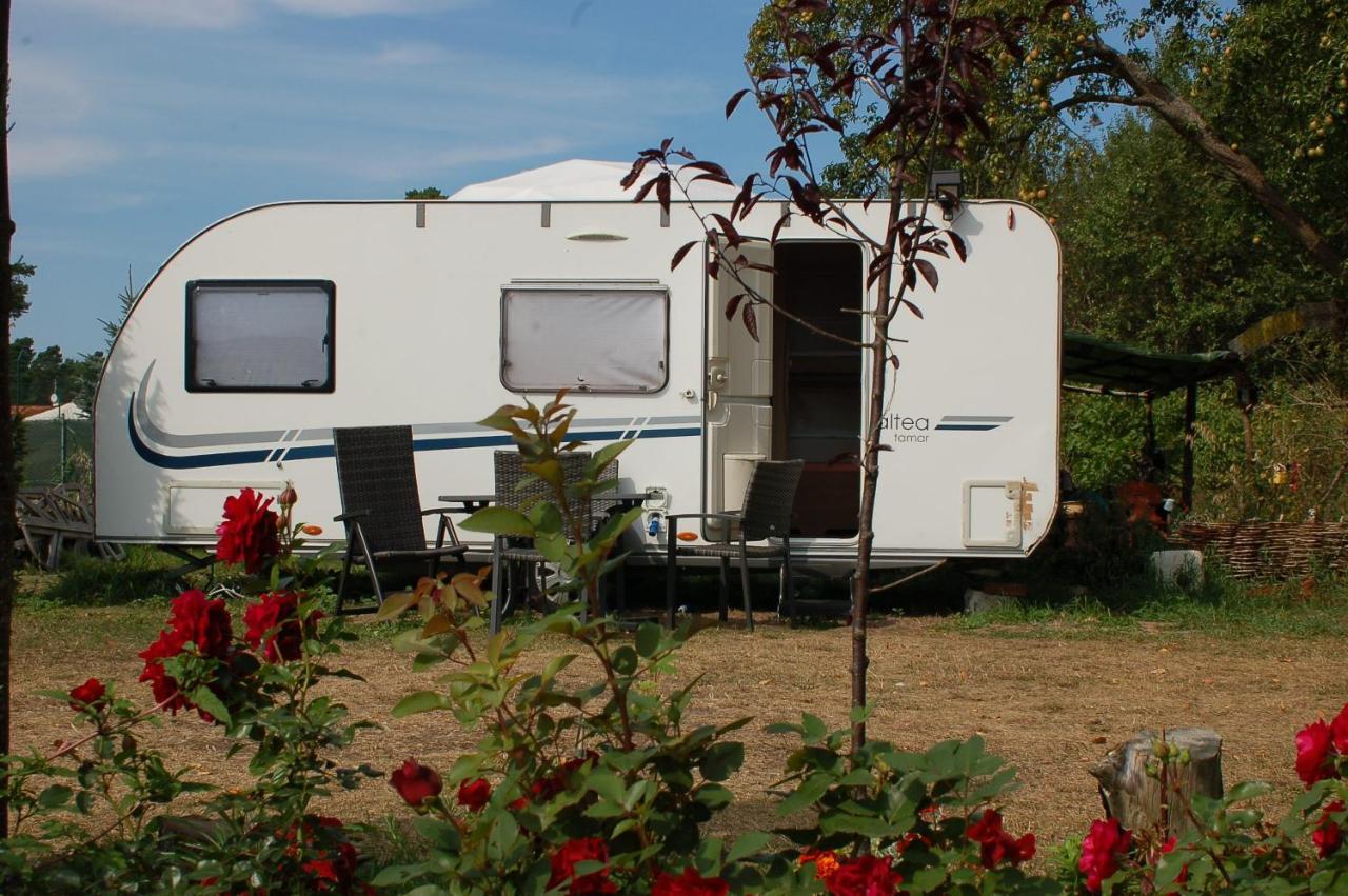 Camping Rogowo Mrzeżyno Exterior foto